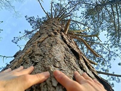 Evento “Essenza” 7-8 marzo promosso dall’ Associazione Riaccendi il Sorriso in collaborazione ed il patrocinio del Comune di Camaiore