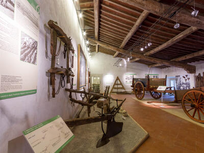 Seravezza: I 30 anni del Museo a Palazzo Mediceo