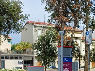 Italia Nostra Versilia: "Emergenza verde a Viareggio in piazza Piave"