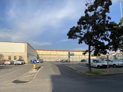 Nuovo impianto di telefonia al Marco Polo a Viareggio. Italia Nostra Versilia è contraria