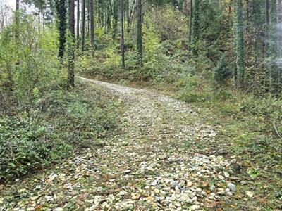 Aggiudicati i lavori di costruzione del collegamento Farnocchia-Sant’Anna Primo lotto da 1 milione e 600mila euro ad una ditta Lucchese