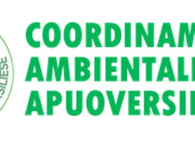 Seravezza: Coordinamento Ambientalista Apuoversiliese all’attacco per avere i dati dell’escavazione del marmo