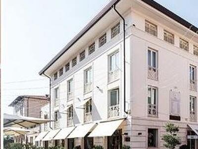 Zanzare: conoscerle per combatterle. A Forte dei Marmi un convegno dedicato alla prevenzione delle arbovirosi, giovedì 26 marzo