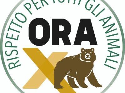 Comune di Pietrasanta, al via la raccolta firme per i referendum contro la caccia