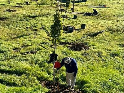 Consorzio di Bonifica Toscana Nord: ventisei Comuni coinvolti e 2.373 essenze da piantare. Nuovo record per il progetto &quot;Un albero per ogni nuovo bimbo o bimba&quot;