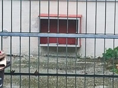 Sicurezza nelle scuole a Massarosa: i consiglieri Lucchesi e Bertolaccini replicano al vicesindaco Del Soldato