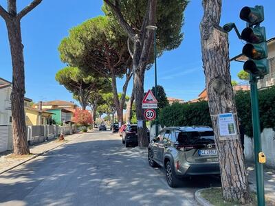 Cantiere via Vittorio Veneto, Lido di Camaiore. Al via la campagna informativa “I pini informano: Cronache di un cantiere”