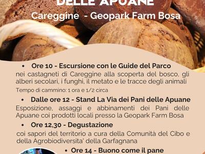 La Via dei Pani delle Apuane: a Careggine il pane diventa viaggio nella memoria della Garfagnana
