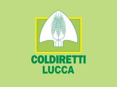 Giovani in agricoltura: Coldiretti Lucca, 250 potenziali candidati per premio Oscar Green. Iscrizioni entro il 29 giugno