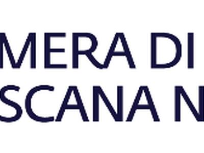 Camera di commercio della Toscana Nord-Ovest: "Lavoro: cresce la domanda a Lucca, rallenta a Massa-Carrara e Pisa"