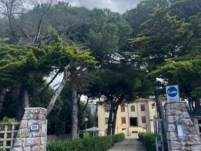 Le dune raccontano: a Forte dei Marmi un pomeriggio tra natura, arte e memoria del territorio, sabato 23 maggio alla "Casa al Mare" di Casalmaggiore
