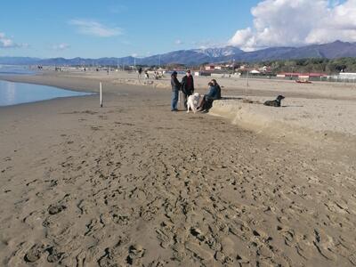 Marina di Pietrasanta e il fenomeno erosivo, avvisaglie o altro? Secondo i Paladini Apuoversiliesi bisogna studiare