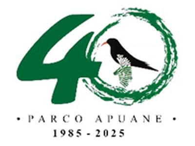 Andrea Tagliasacchi, presidente del Parco Alpi Apuane, interviene su quanto accaduto in Val Serenaia: "Fatti gravissimi e inaccettabili. Nessuno può essere intimidito per le proprie idee"