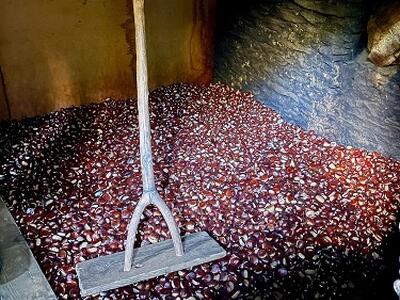 Il comune di Stazzema è socio fondatore del Distretto rurale castanicolo: una rete di promozione e sostegno alla filiera della castagna per i soggetti coinvolti da questa antica tradizione oggi attività economica