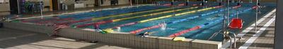 Piscina comunale di Massarosa ancora chiusa, il consigliere Bertolaccini: &quot;La Sindaca Barsotti si assuma responsabilità delle promesse non mantenute&quot;