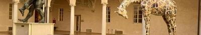 La giraffa di Jacopo Allegrucci a Parma per la Paper Week
