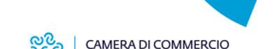 Imprese tra incertezze e nuove strategie: Lucca, Massa-Carrara e Pisa alla prova del 2025