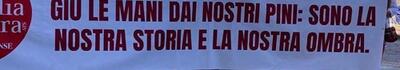 Italia Nostra Versilia: Sit-in sabato 1 agosto a difesa dei pini di Viareggio