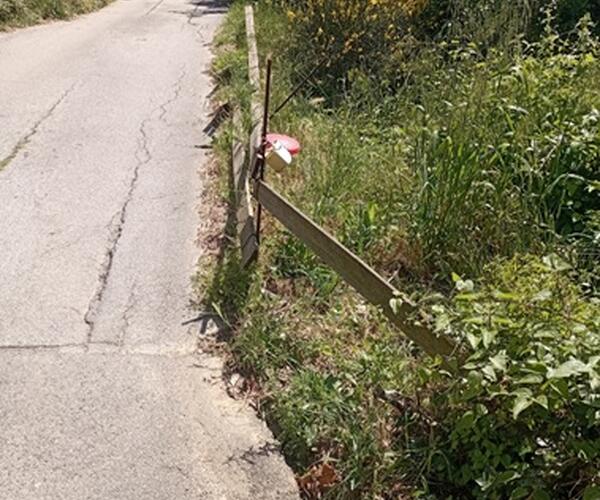 Nicola Morelli, consigliere comunale capogruppo Lega Massarosa evidenzia l'abbandono del territorio collinare