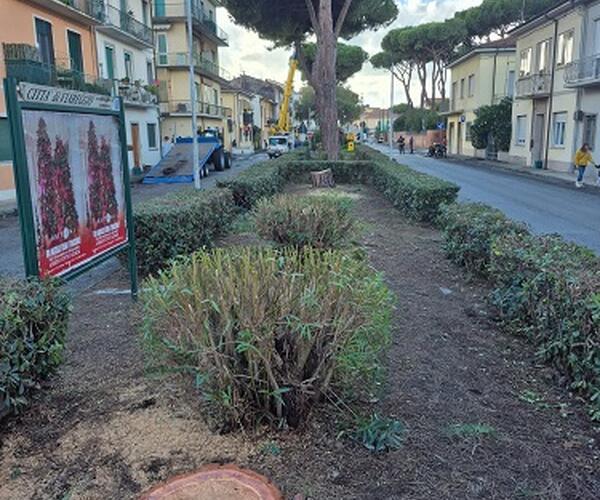 Italia Nostra Versilia: &quot;Verde pubblico a Viareggio, anno zero&quot;