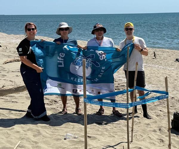 Tartarughe marine: primo nido di Caretta caretta documentato nella Tenuta di San Rossore e primo della Toscana nel 2026