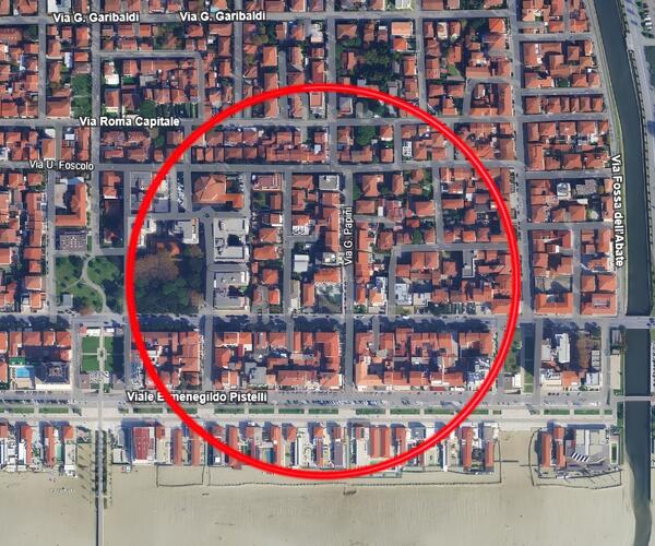 Disinfestazione contro zanzare per caso Dengue a Lido: disposizioni e aree interessate