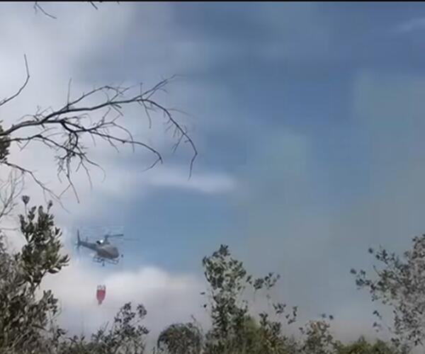 Bruciata la pineta di Levante tra Viareggio e Torre del Lago: sei incendi causati da piromani