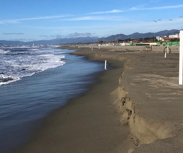 Paladini Apuoversiliesi: "Sul Master Plan della costa 2026 la costa Apuoversiliese un sorvegliato speciale. Il valore ambientale ed economico della spiaggia e l’eventuale ampliamento del porto di Carrara"