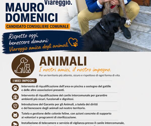 Viareggio più attenta agli animali: le proposte di Mauro Domenici per rafforzare tutela e servizi