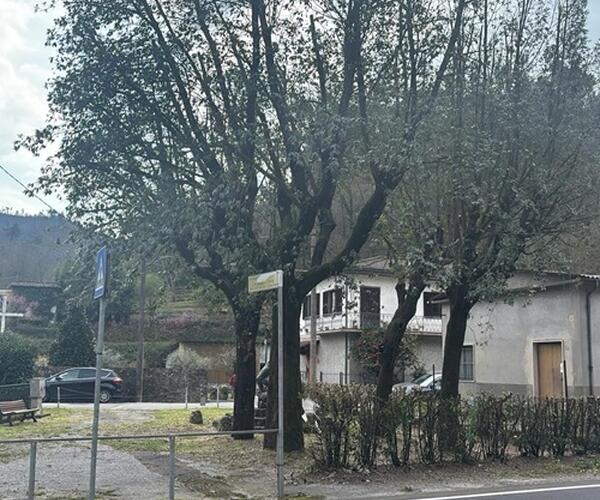 Partita la riqualificazione del Parco della Rimembranza a Valpromaro