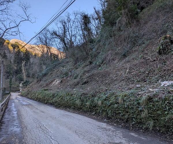 Stazzema: strade più sicure e con meno rischi di interruzioni, è il risultato dei controlli e delle ordinanze di taglio piante della polizia locale