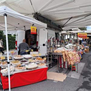 Festa di San Francesco 1