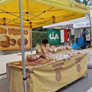 Festa di San Francesco 2