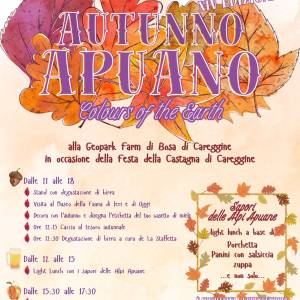 Autunno Apuano Locandina