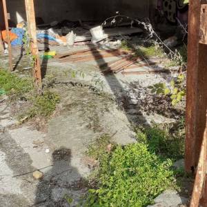 Prima della rcinzione Martinetto, eternit e altro 20241112_103416 r