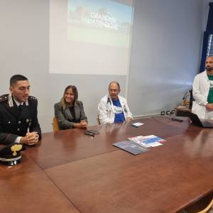ok Albero Versilia 15