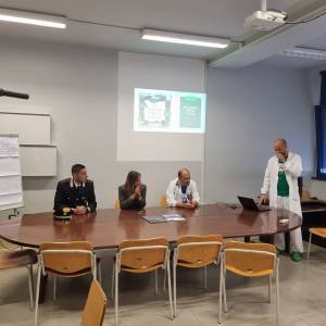 ok Albero Versilia 3