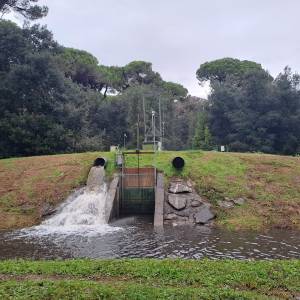 Fiaschetta