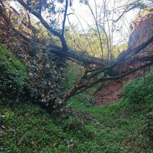 Intervento sul fosso Bruccone a Massarosa 1