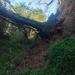 Intervento sul fosso Bruccone a Massarosa 2