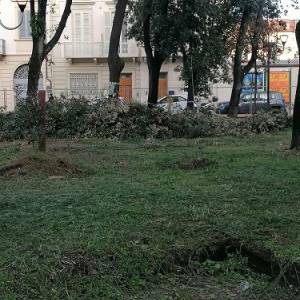 Italia Nostra Versilia Piazza Piave 1