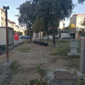 Italia Nostra Versilia Piazza Piave 2