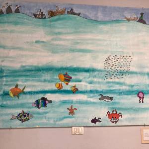 24 novembre UFSMIA Versilia 2