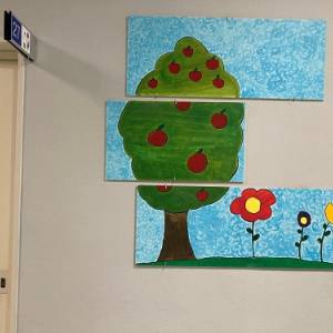 24 novembre UFSMIA Versilia 3