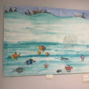 24 novembre UFSMIA Versilia 7