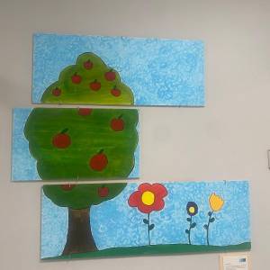 24 novembre UFSMIA Versilia 8