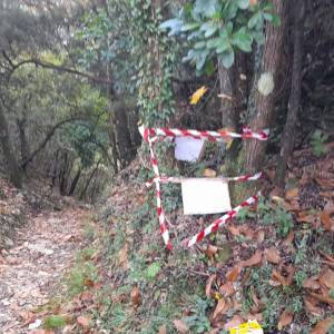 Ordigno alla Rocca di Corvaia 2