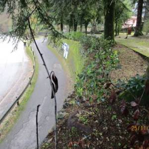 Muro Parco dela Rimembranza di Mulina MG_2710