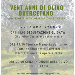 Vent'anni di olivo Quercetano