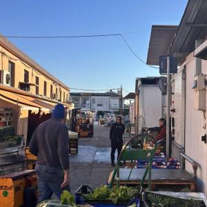 Mercato Ortofrutticolo 3